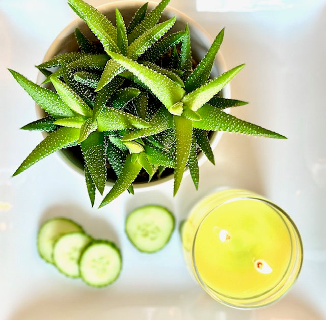 cucumber + cactus luxury candle